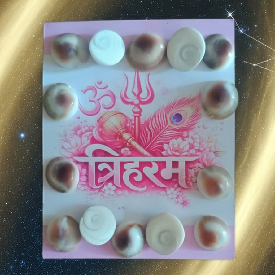 Sacred Gomti Chakra